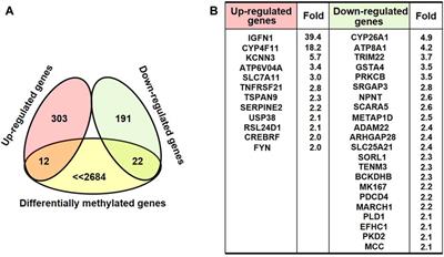 Early Epigenetic Responses in the Genomic DNA Methylation Fingerprints in Cells in Response to Sublethal Exposure of Silver Nanoparticles